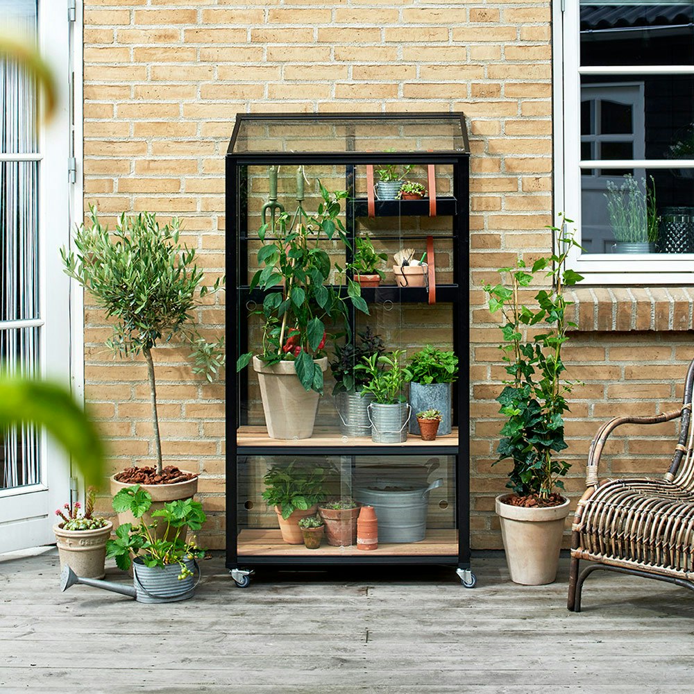 juliana växthus plantagen juliana växthus plantagen